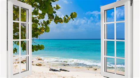 win home renovation|The Ultimate Guide To Renovating Your Windows .